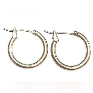 Silver Hoop Earrings small